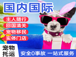 果洛玛沁机场托运国际宠物托运 【国